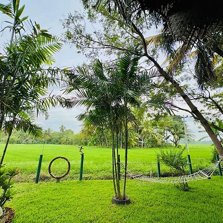 The Green View Yala Tissamaharama Buitenkant foto