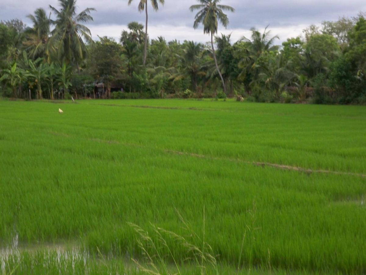 The Green View Yala Tissamaharama Buitenkant foto